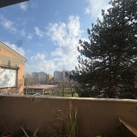 Apartment Collodi Peaceful Energy