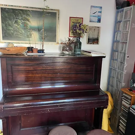 Collodi Peaceful Energy