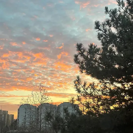 Apartment Collodi Peaceful Energy