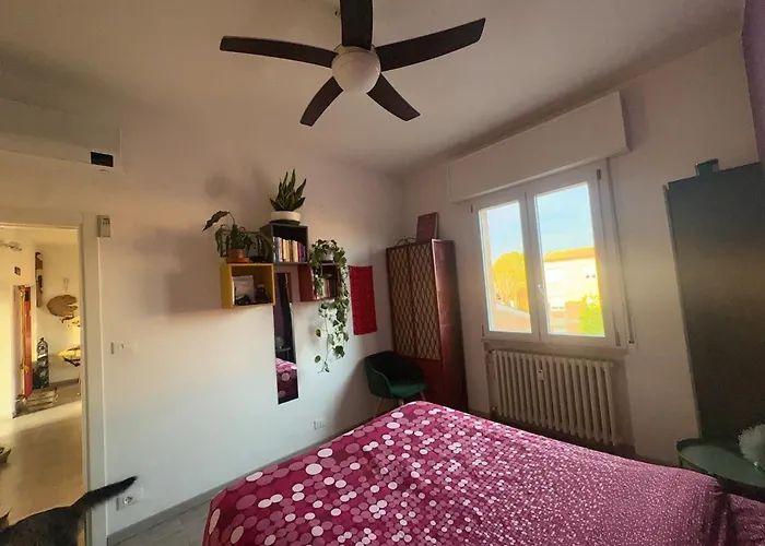 Collodi Peaceful Energy