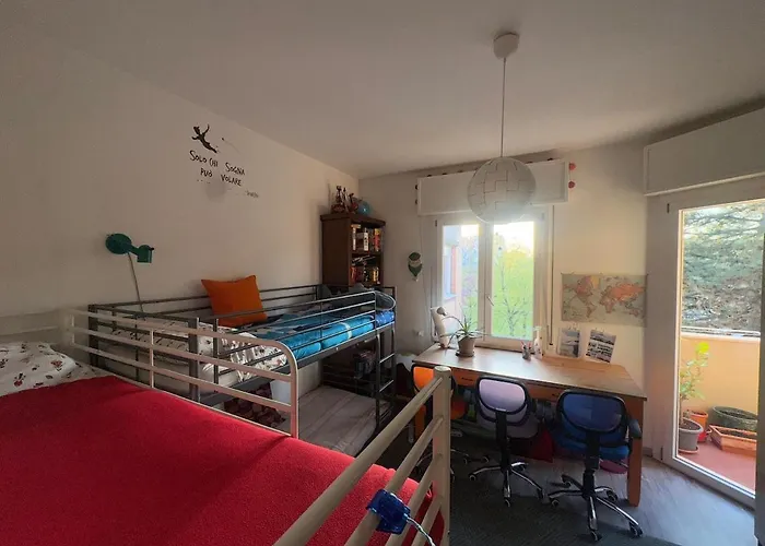 Collodi Peaceful Energy *