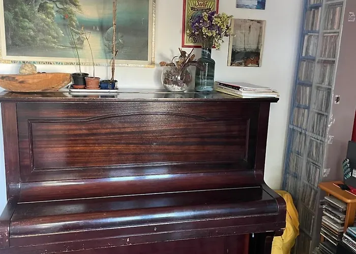 Collodi Peaceful Energy