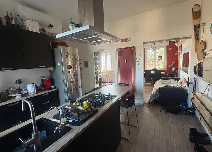 Collodi Peaceful Energy * 볼로냐