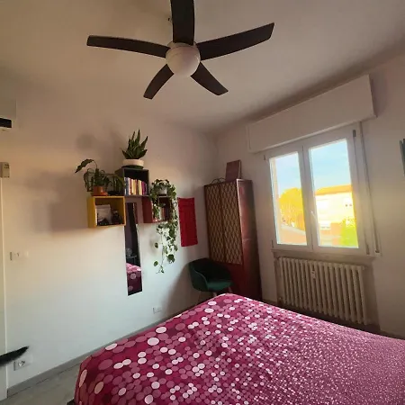 Collodi Peaceful Energy