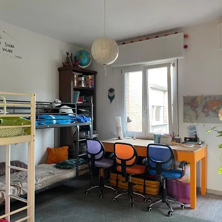 Collodi Peaceful Energy Bologna