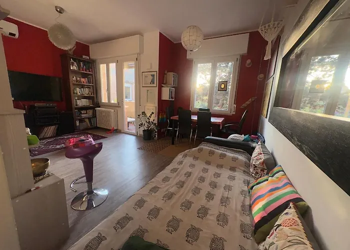 Collodi Peaceful Energy Bologna