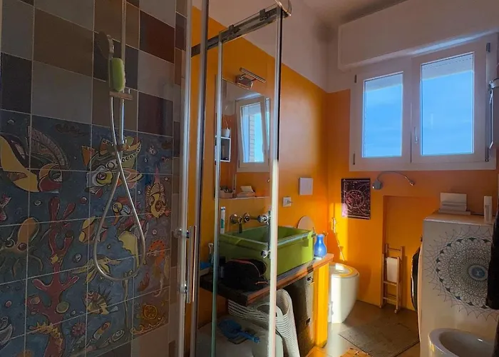 Collodi Peaceful Energy * Bologna